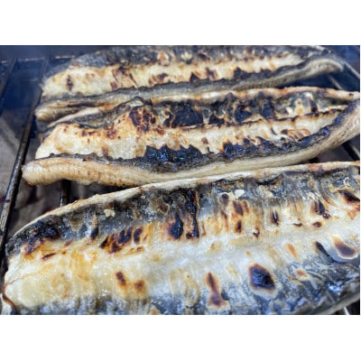 【国産うなぎ】大サイズ140g -170g　三河一色産　10尾　炭火蒲焼き(タレ付き)【配送不可地域：離島】【1659364】