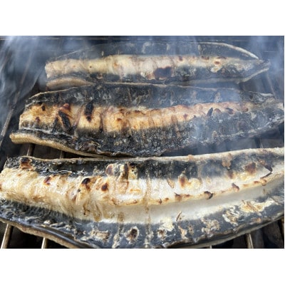 【国産うなぎ】大サイズ140g -170g　三河一色産　3尾　炭火蒲焼き(タレ付き)【配送不可地域：離島】【1659356】