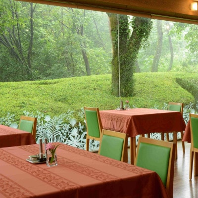 ランチご利用券 3,000円分 森の隠れ家レストラン VENT ET VERT アイ・アイ・ランド【1630242】