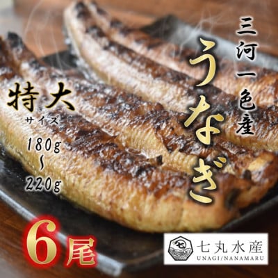 【国産うなぎ】特大サイズ180g-220g　三河一色産　6尾　炭火蒲焼き(タレ付き)【配送不可地域：離島】【1659385】