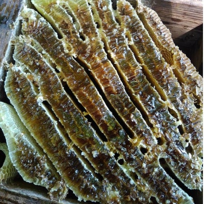 日本みつばちが集めた貴重なはちみつ(百花蜜)をお届けします。【1151556】