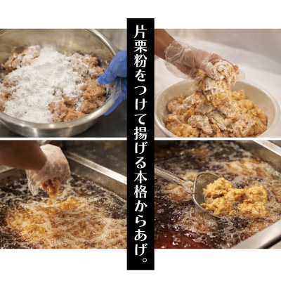 空とぶからあげ【ジンジャー味・生タイプ】 1.2kg【配送不可地域：離島】【1742555】