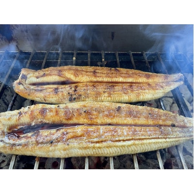 【国産うなぎ】通常サイズ120g-140g　三河一色産　4尾　炭火蒲焼き(タレ付き)【配送不可地域：離島】【1659372】