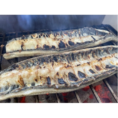 ãåœç£ããªãã倧ãµã€ãº140g -170gãäžæ²³äžè²ç£ã2å°Ÿã»ãããçç«çœçŒããé
éäžå¯å°åïŒé¢å³¶ãã1659391ã