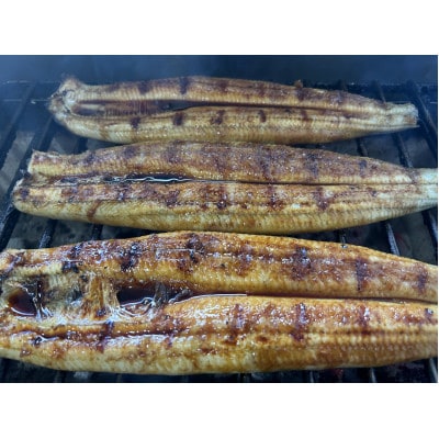 【国産うなぎ】大サイズ140g -170g　鹿児島産　6尾セット 炭火蒲焼き(タレ付)【配送不可地域：離島】【1659351】