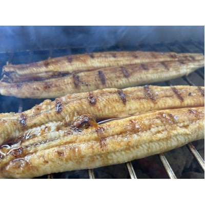 【国産うなぎ】通常サイズ120g-140g　三河一色産　6尾　炭火蒲焼き(タレ付き)【配送不可地域：離島】【1659370】