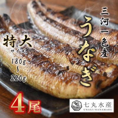 【国産うなぎ】特大サイズ180g-220g　三河一色産　4尾　炭火蒲焼き(タレ付き)【配送不可地域：離島】【1659386】
