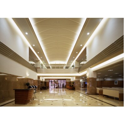 脳ドック(通常コース)ご利用券 1名様　　　畷生会脳神経外科病院　ふるさと納税　　　【1280135】