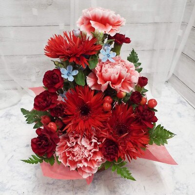 お任せ アレンジメント 生花 お祝い レッド系【配送不可地域：離島】【1343815】