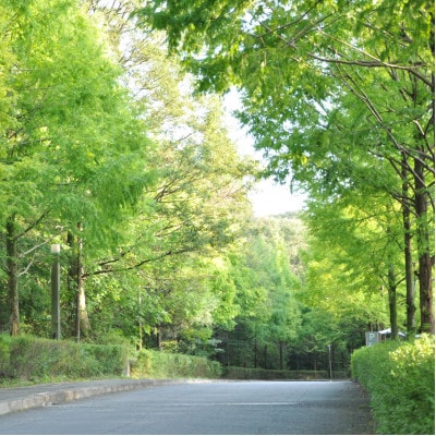 繝ゥ繝ウ繝√#蛻ゥ逕ィ蛻ク 10,000蜀蛻 譽ョ縺ョ髫繧悟ョカ繝ャ繧ケ繝医Λ繝ウ VENT ET VERT 繧「繧、繧「繧、繝ゥ繝ウ繝峨1716835縲