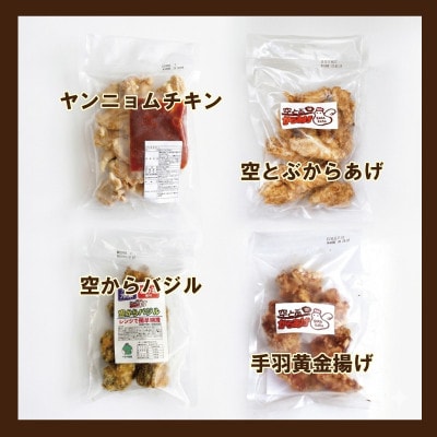 空とぶからあげ4種セット 金賞唐揚げと人気味わいセレクト【配送不可地域：離島】【1744168】