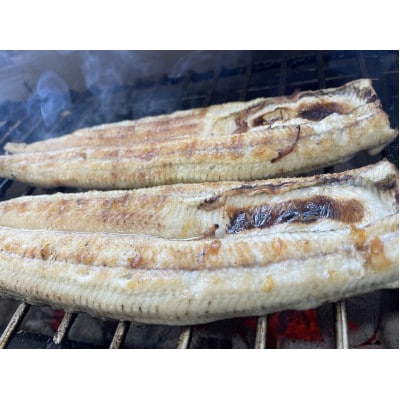 【国産うなぎ】特大サイズ180g-220g　三河一色産　2尾　炭火白焼き【配送不可地域：離島】【1659392】