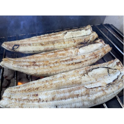 【国産うなぎ】特大サイズ180g-220g　三河一色産　4尾　炭火蒲焼き(タレ付き)【配送不可地域：離島】【1659386】