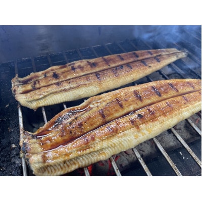 【国産うなぎ】大サイズ140g -170g　三河一色産　2尾セット　炭火蒲焼き(タレ付き)【配送不可地域：離島】【1659381】