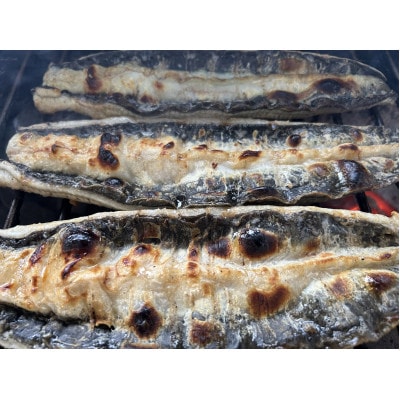 【国産うなぎ】通常サイズ120g-140g　三河一色産　5尾　炭火蒲焼き(タレ付き)【配送不可地域：離島】【1659361】