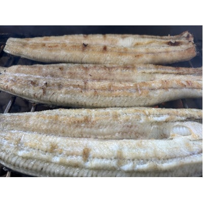 【国産うなぎ】大サイズ140g -170g　鹿児島産　10尾 炭火蒲焼き(タレ付き)【配送不可地域：離島】【1659344】