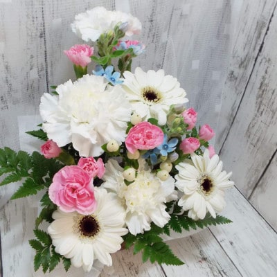 ãä»»ã ã¢ã¬ã³ãžã¡ã³ã çè± ãäŸã ãã¯ã€ããã³ã¯ç³»ãé
éäžå¯å°åïŒé¢å³¶ãã1481172ã