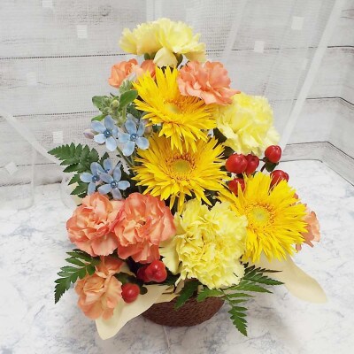 お任せ アレンジメント 生花 お祝い イエロー系【配送不可地域：離島】【1343813】