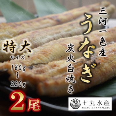【国産うなぎ】特大サイズ180g-220g　三河一色産　2尾　炭火白焼き【配送不可地域：離島】【1659392】