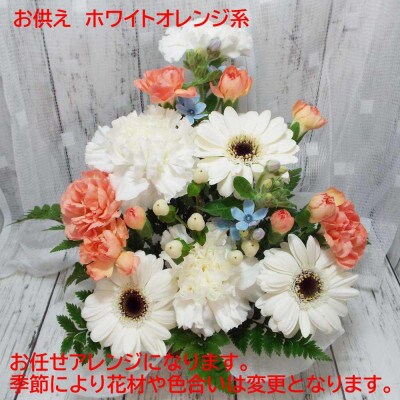 ãä»»ã ã¢ã¬ã³ãžã¡ã³ã çè± ãäŸãçš ãã¯ã€ããªã¬ã³ãžç³»ãé
éäžå¯å°åïŒé¢å³¶ãã1481175ã