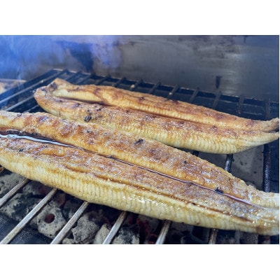 【国産うなぎ】特大サイズ180g-220g　三河一色産　2尾　炭火蒲焼き(タレ付き)【配送不可地域：離島】【1659388】