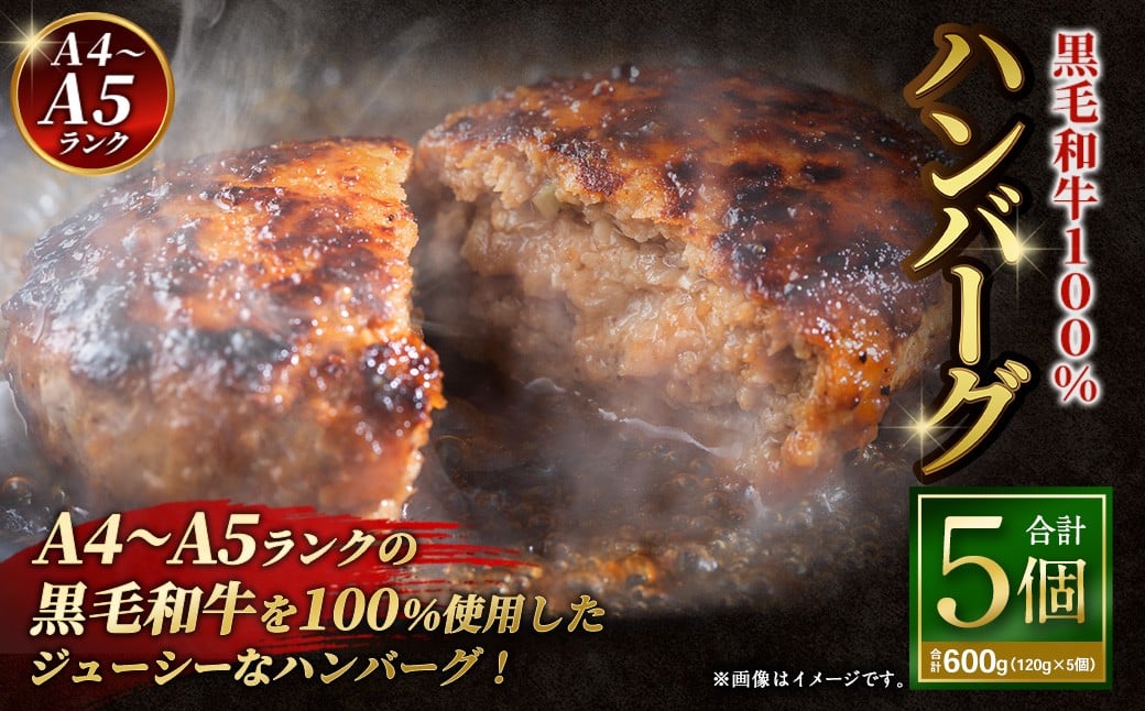 【A4～A5ランクの黒毛和牛100%】 ハンバーグ 120g×5個 （計600g） ／ 黒毛和牛 黒毛和種 和牛 国産牛 牛肉 お肉 肉 大阪府 阪南市 冷凍