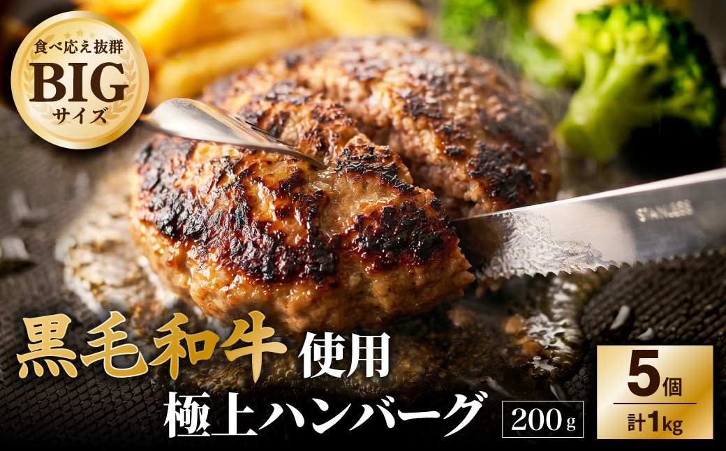 黒毛和牛使用！ 200gのBIG手作りハンバーグ 200g×5個 （計1kg） ／ 黒毛和牛 黒毛和種 和牛 国産牛 牛肉 お肉 肉 大阪府 阪南市 冷凍