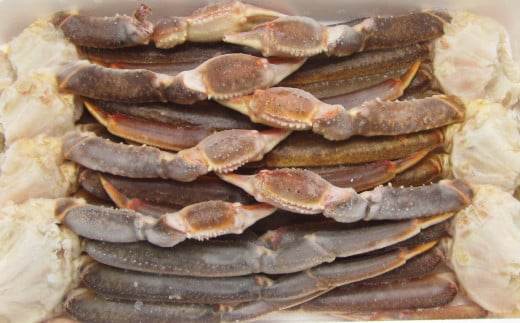 【2025年12月17日迄に入金確認で年内配送】生ずわい蟹 5L サイズ 3kg (6 ～ 8肩) 【12】【価格改定：12月31日まで】 かに カニ ずわい蟹 しゃぶしゃぶ 鍋 海鮮 BBQ バーベキュー 冷凍