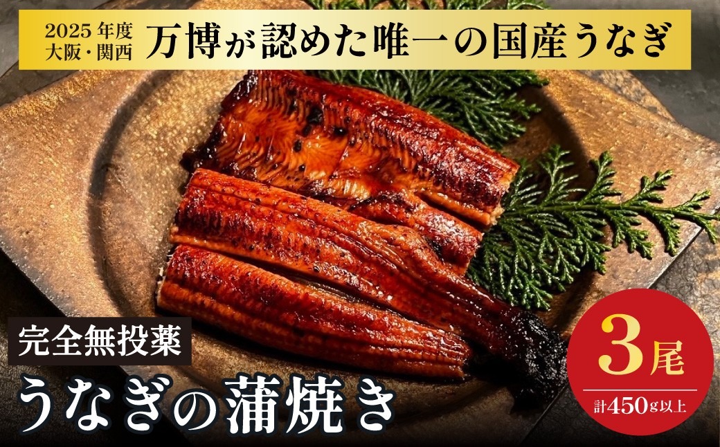 鰻 鰻の蒲焼き3尾セット｜ 国産うなぎ 国産 美陵鰻 うなぎ ウナギ 鰻 かば焼き 蒲焼きせいろ蒸し 土用の丑の日 土用 丑の日 贈答 贈り物 大阪府 阪南市 送料無料 ギフト 特大 肉厚 うな重 うな丼 ひつまぶし 惣菜 おかず タレ 山椒 ワサビ れいわ水産