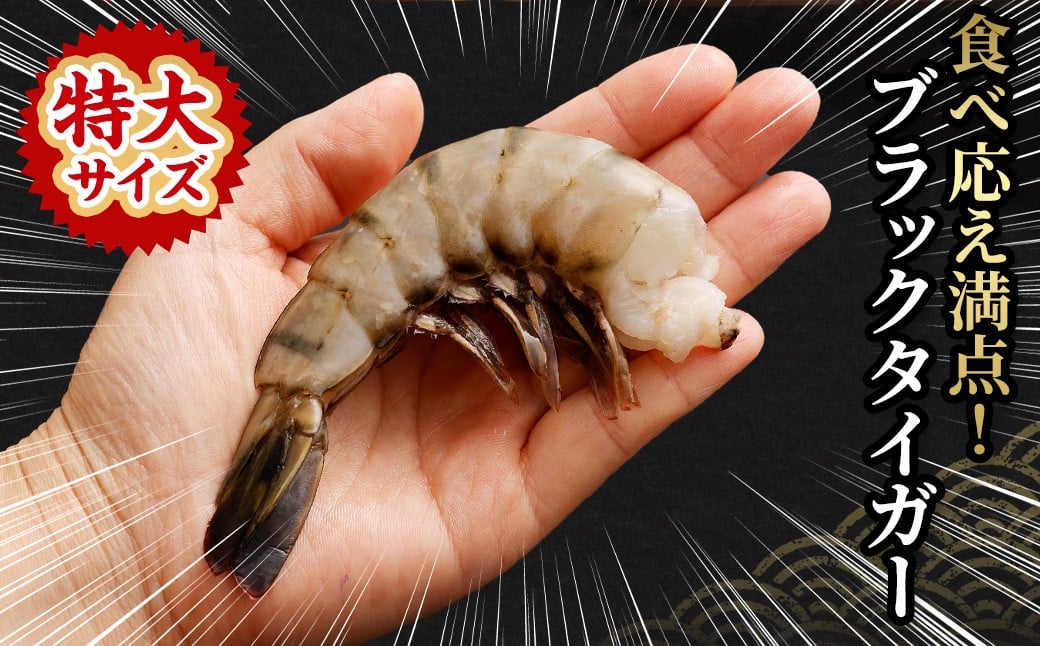 特大 ブラックタイガー 無頭えび 1.1kg前後 （30尾） 【入金確認後7営業日以内に発送】 剥き海老 剥きえび むき海老 むきえび むきエビ むき身 海鮮 海産物 魚介類 甲殻類 海の幸 疲労回復 大阪府 阪南市