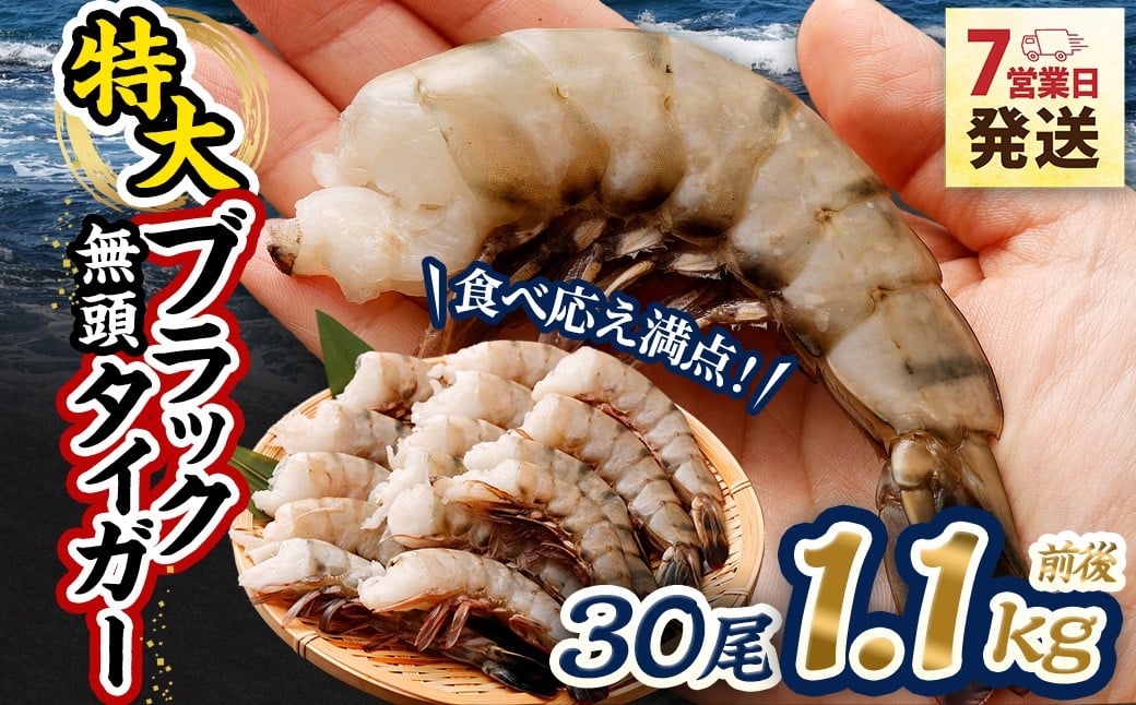 特大 ブラックタイガー 無頭えび 1.1kg前後 （30尾） 【入金確認後7営業日以内に発送】 剥き海老 剥きえび むき海老 むきえび むきエビ むき身 海鮮 海産物 魚介類 甲殻類 海の幸 疲労回復 大阪府 阪南市