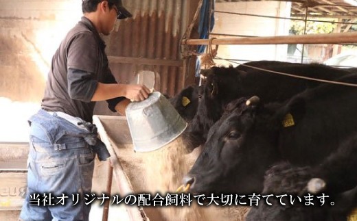 ãªã«ã é»ç å
ãã©ã ã» çŒèçš 400g (200g à 2ããã¯)