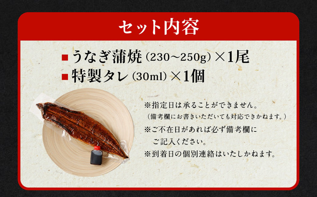 国産 うなぎ 蒲焼 1尾 （230 ~250g） と 特製タレ 1個 セット 鰻 ウナギ 蒲焼き うなぎ蒲焼 セイロ蒸し せいろ蒸し タレ付 冷凍 父の日