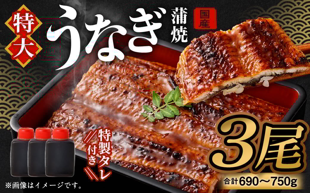 国産 うなぎ 蒲焼 3尾 （690～750g）と 特製タレ 3個 セット 鰻 ウナギ 蒲焼き うなぎ蒲焼 セイロ蒸し せいろ蒸し タレ付 冷凍 父の日
