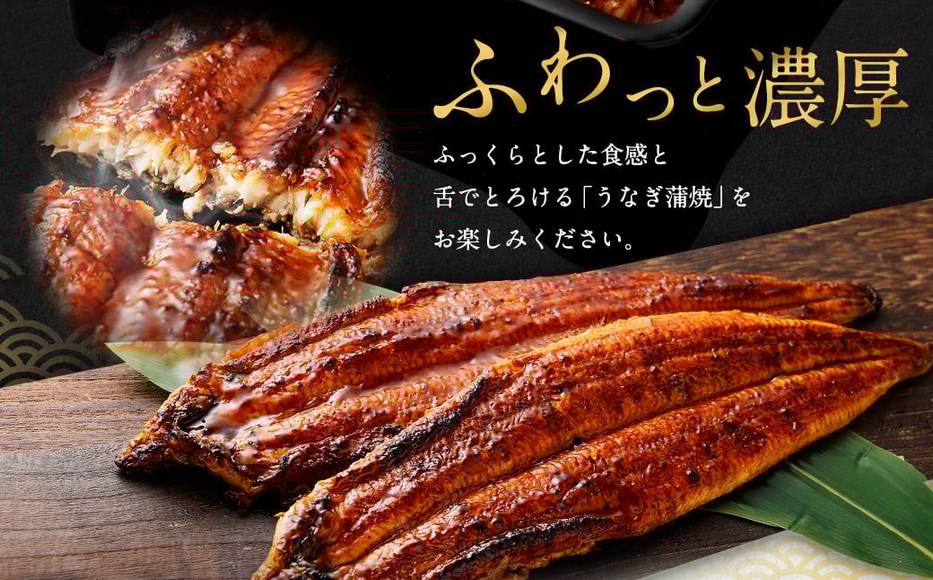 国産 うなぎ 蒲焼 2尾 （460 ～ 500g）と 特製タレ 2個 セット 鰻 ウナギ 蒲焼き うなぎ蒲焼 セイロ蒸し せいろ蒸し タレ付 冷凍 父の日