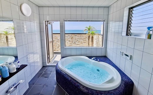 é¢ç©ºãªãŒã·ã£ã³ããã³ã å©çš å²åŒåž 3000åå