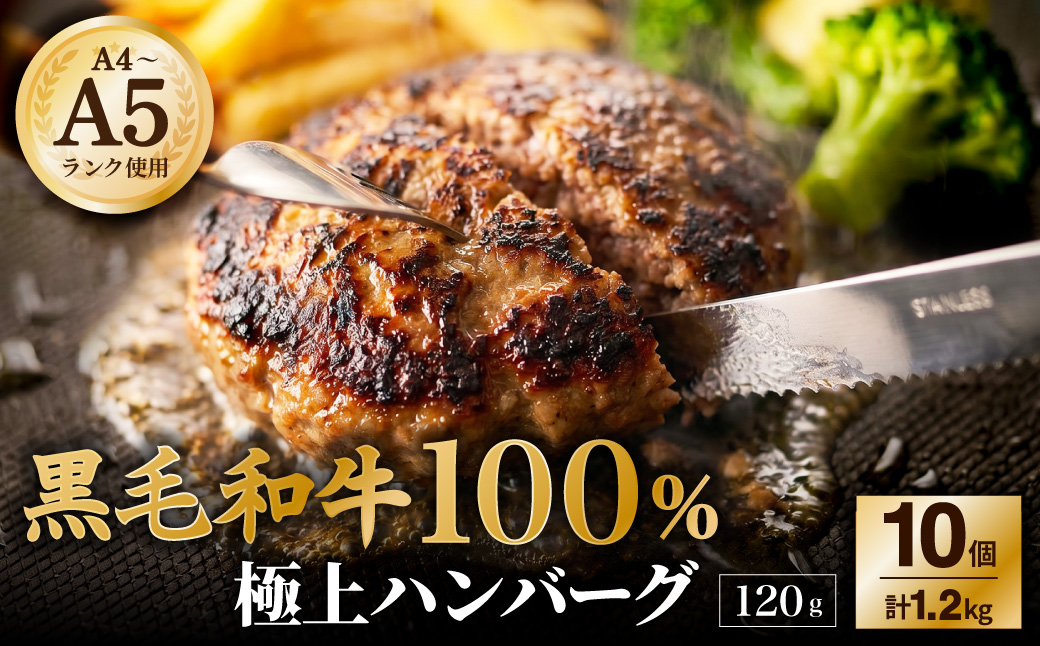 【A4〜A5ランクの黒毛和牛100%】 ハンバーグ 120g×10個 （計1.2kg） ／ 黒毛和牛 黒毛和種 和牛 国産牛 牛肉 お肉 肉 大阪府 阪南市 冷凍