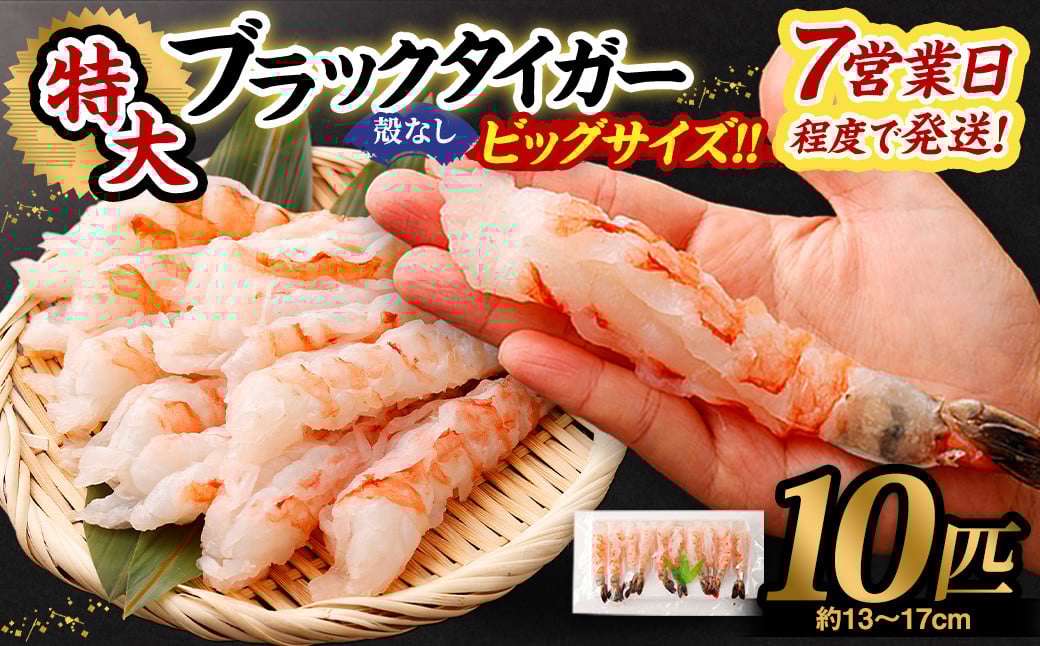 特大 ブラックタイガー 殻なし ビッグサイズ （10匹） 【入金確認後7営業日程度で発送】｜ エビ えび 海老 ブラックタイガー むきえび むきエビ 冷凍