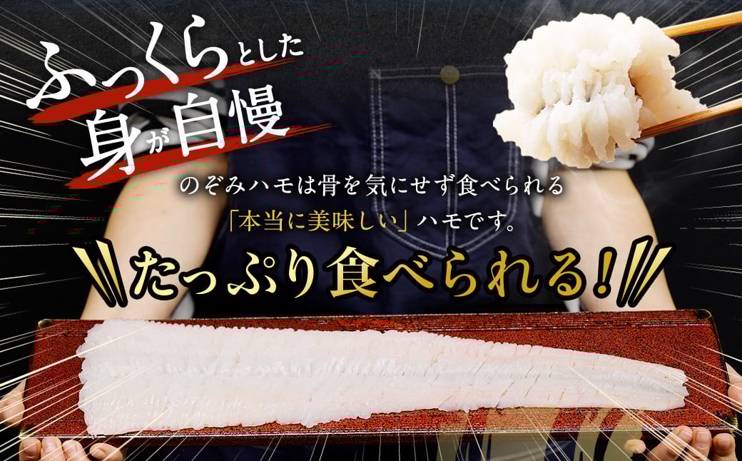 縺ョ縺槭∩豌エ逕」 豢サ縲 鬪ィ蛻繧 逕滄アァ 500g 縲2026蟷エ5譛井ク頑流縺九i12譛井ク頑流逋コ騾∽コ亥ョ壹代ッ繧 繝上Δ 魍ァ 豢サ邱繧 逕溘ッ繧 縺ッ繧る豪 螟ゥ縺キ繧