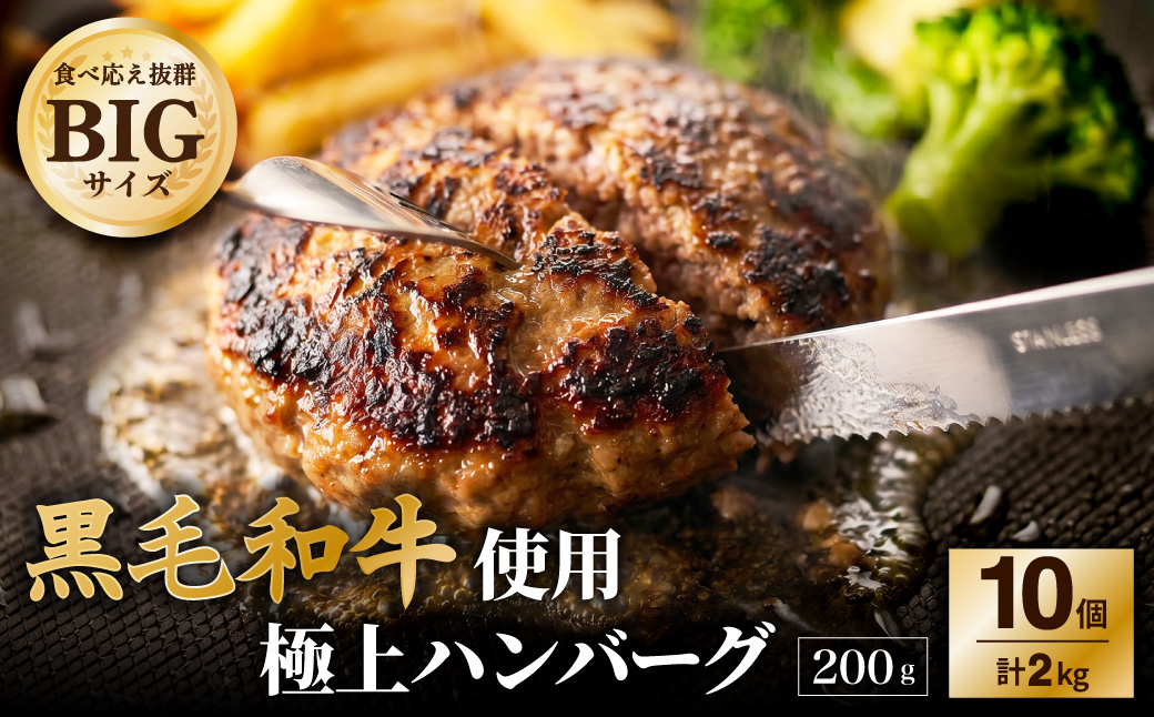 黒毛和牛使用！ 200gのBIG手作りハンバーグ 200g×10個 （計2kg） ／ ハンバーグ 黒毛和牛 黒毛和種 和牛 国産牛 牛肉 お肉 肉 大阪府 阪南市 冷凍