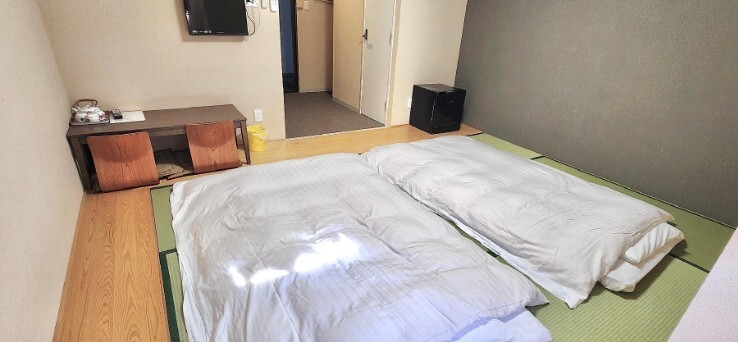 éªååœéããã« (HANNAN INTERNATIONAL HOTEL) 宿æ³å©çš å²åŒåž3,000åå