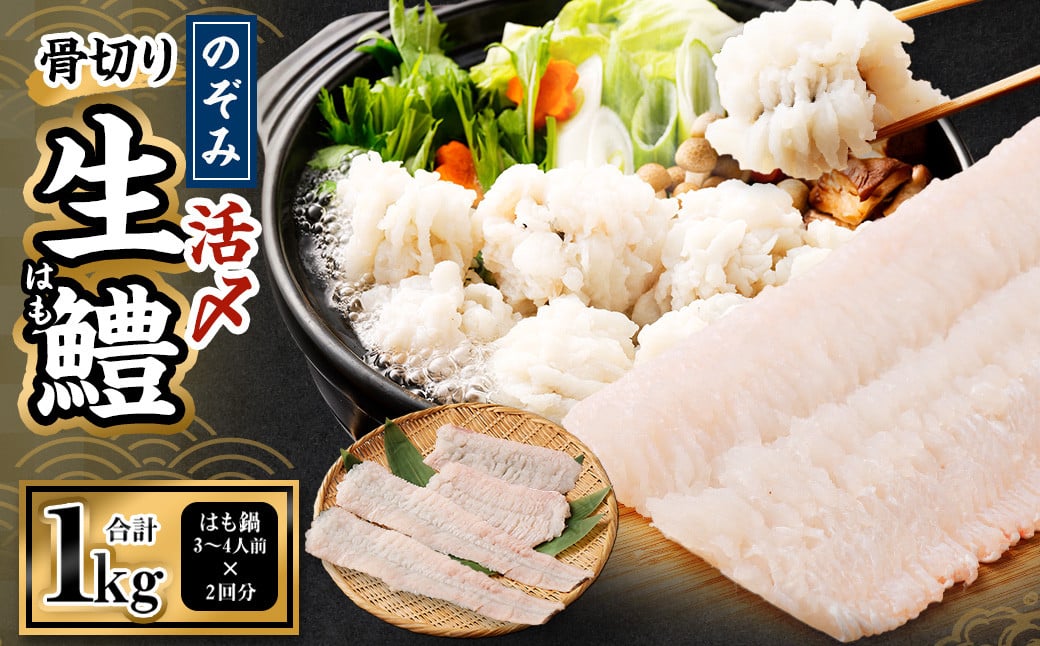 のぞみ水産 活〆 骨切り 生鱧 1kg 【2026年5月上旬から12月上旬発送予定】はも ハモ 鱧 活締め 生はも はも鍋 天ぷら 