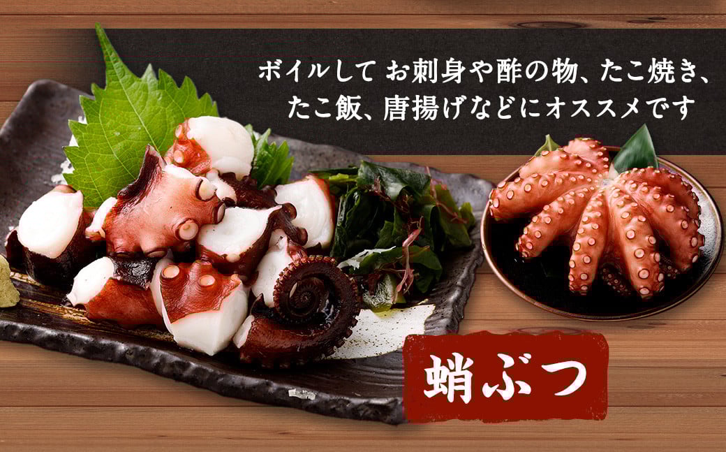 大阪産 泉タコ （生たこ） 650g （1杯～3杯）×1袋 と 茎わかめ 佃煮 180gの セット 魚介類 海鮮 タコ わかめ 冷凍