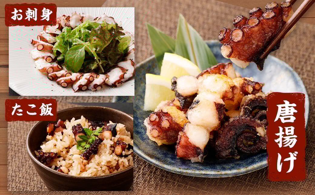 大阪産 泉タコ （生たこ） 650g （1杯～3杯）×1袋 と 茎わかめ 佃煮 180gの セット 魚介類 海鮮 タコ わかめ 冷凍