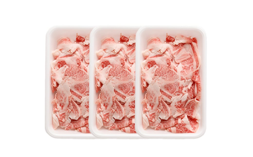 大阪産 和牛 なにわ黒牛 切り落とし 750g （250g×3パック）｜ ブランド 冷凍 国産 牛肉 小分け  牛丼 ギフト しゃぶしゃぶ すき焼き 贈答 贈答用 お中元 お歳暮【価格改定：2025/12/31受付分まで】