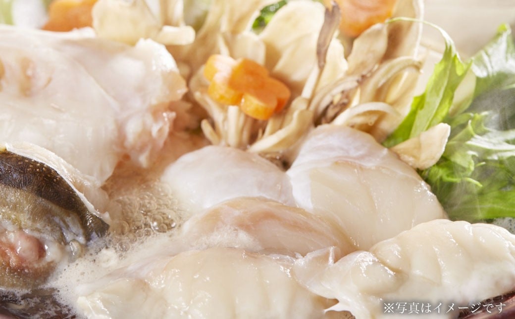 蝗ス逕」 繝医Λ繝輔げ 邏600gシ 繝医Λ繝輔げ骰狗畑縺ォ繧ォ繝繝域ク医∩ シ峨後ヨ繝ゥ繝輔げ骰具シ 縺ヲ縺」縺。繧 シ峨サ 豬キ魄ョ骰 繝サ 蟇縺幃豪 縺ォ繧ェ繧ケ繧ケ繝。縲阪ヵ繧ー 縺ィ繧峨オ縺 繧ォ繝繝域ク 逵溽ゥコ蜀キ蜃 蛻繧願コォ 縺ゅi 縲2026蟷エ3譛井ク頑流逋コ騾∽コ亥ョ壹