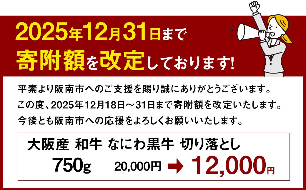 大阪産 和牛 なにわ黒牛 切り落とし 750g （250g×3パック）｜ ブランド 冷凍 国産 牛肉 小分け  牛丼 ギフト しゃぶしゃぶ すき焼き 贈答 贈答用 お中元 お歳暮【価格改定：2025/12/31受付分まで】