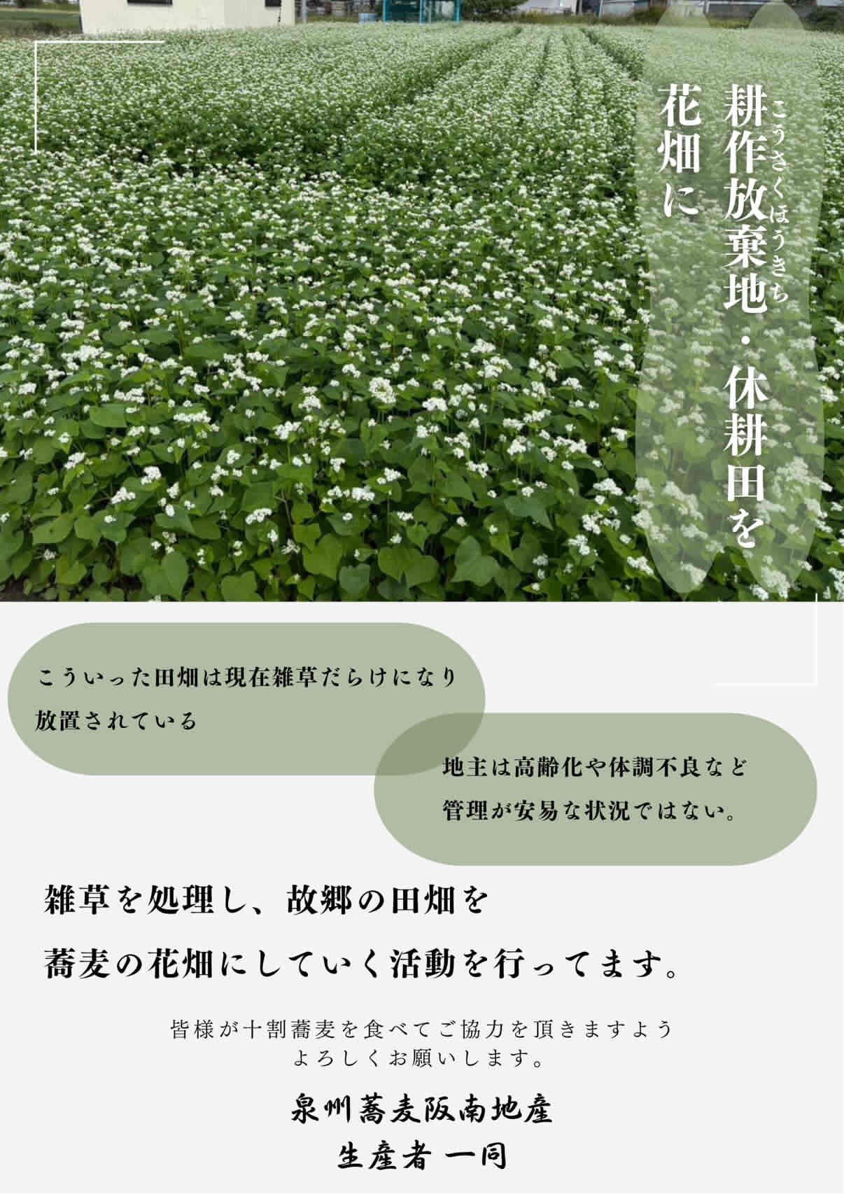 【JALふるさと納税限定】泉州蕎麦 阪南地産 十割蕎麦（春のいぶき） つゆ付き3人前（100g×3袋）【順次発送】 ※通常2人前 泉州 蕎麦 そば ソバ 年越し蕎麦 年越し 年越しそば 年越しソバ 2人前 100g 2袋 泉州産 国産 大晦日