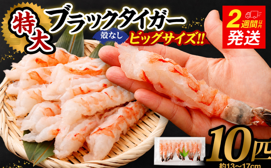 特大 ブラックタイガー 殻なし ビッグサイズ （10匹） 【入金確認後14営業日程度で発送】｜ エビ えび 海老 ブラックタイガー むきえび むきエビ 冷凍