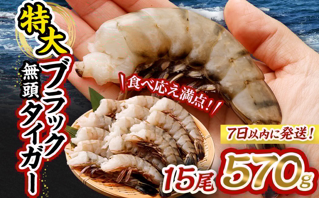 特大 ブラックタイガー 無頭えび 570g前後（15尾） 【入金確認後7営業日程度で発送】 ｜海老 えび エビ ブラックタイガー 海鮮 魚介 殻付き 冷凍 大阪府 阪南市